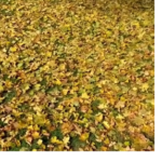 111219 1444 GettysburgB1