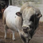 050620 2107 LandConserv1
