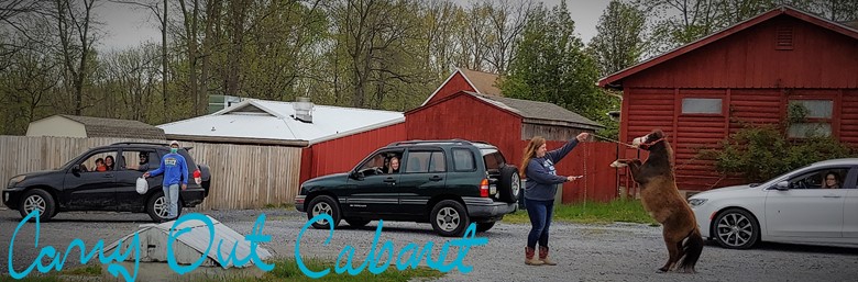 Land of Little Horses Announces Carry-Out Cabaret in Your Car 1 050620 2152 LandofLittl1