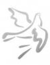obit_image