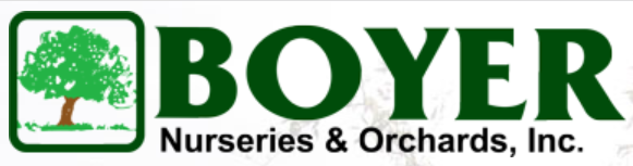 BOyN1234.png logo