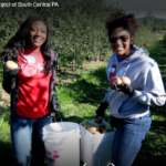 gleaning project