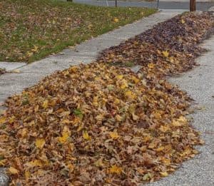 Gettysburg leaf collection will begin after Thanksgiving
