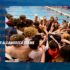 womens swimming swim teams earn scholar all america honors