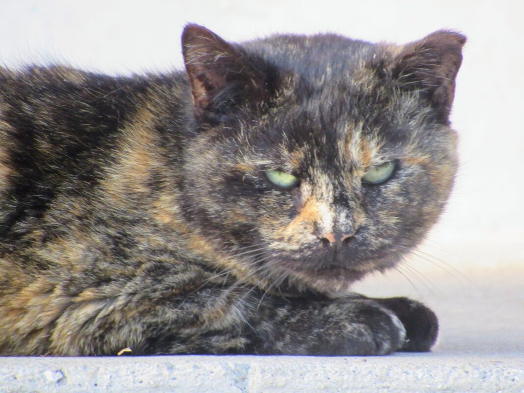 Spring 2022 Photo Contest 1 202203211750022