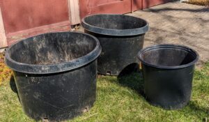 Gettysburg Garden Club seeks used plant containers