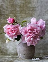 roberta l mentzer