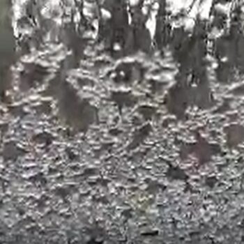 sleet