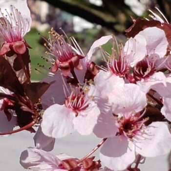 Spring 2022 Photo Contest 19 20200402 091022