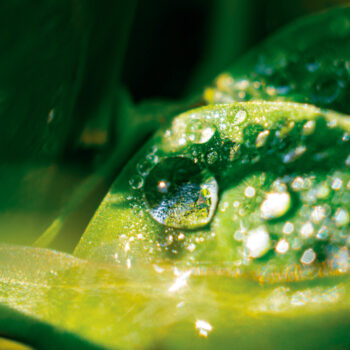 Spring 2022 Photo Contest 25 2EAE04BD 7C98 4991 B28C ADBDF23B2FDE