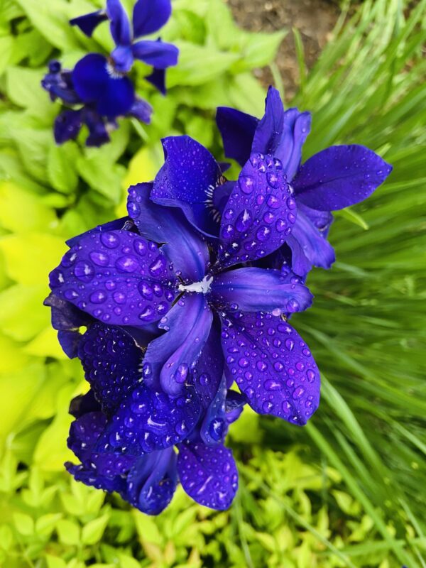 Spring 2022 Photo Contest 1 79C92BD8 EE9E 445D 90FA 6D5339BCE603