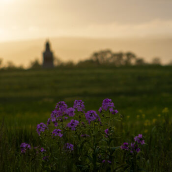 Spring 2022 Photo Contest 1 8DDC6F27 CBBA 4826 A594 B115AC91AEBB