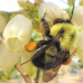 Spring 2022 Photo Contest 4 IMG 20220502 142753995 BURST0197