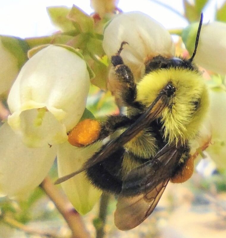 Spring 2022 Photo Contest 1 IMG 20220502 142753995 BURST0197