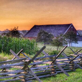 Summer 2022 Photo Contest 10 20220808 055653 01