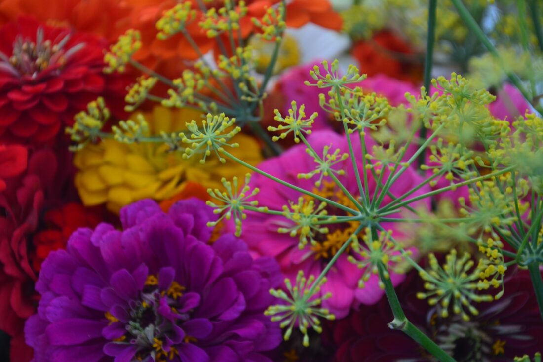 Market Flowers