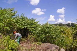 Help the Gettysburg National Military Park clear Devil’s Den on Sept. 24.