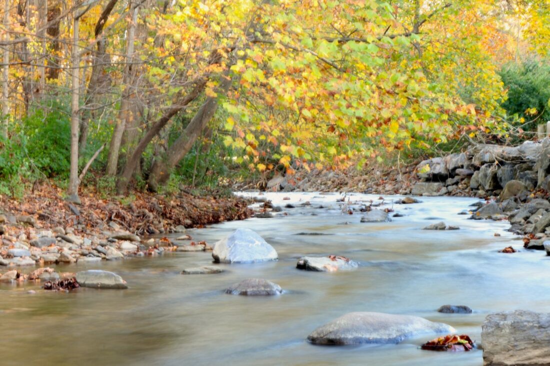 Fall Creek V.2