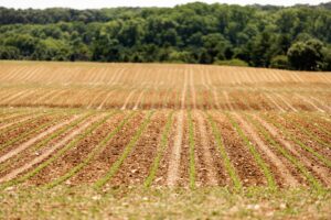 Pa. election 2022: Where governor candidates Mastriano, Shapiro stand on rural health care, broadband, and agriculture
