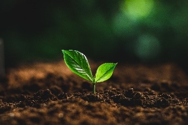 earth day