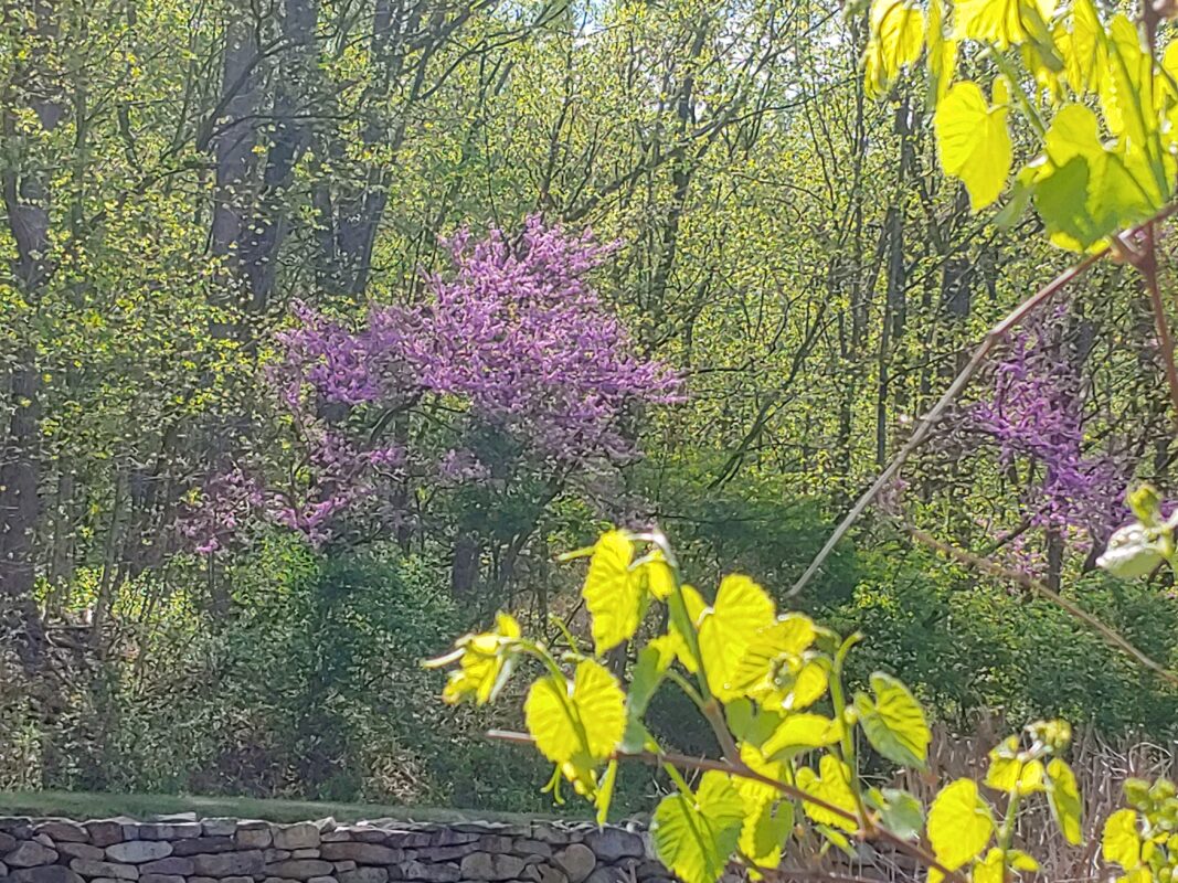 0417231104a HDR