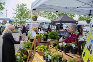 Adams County Farmers Market receives $20k sponsorship from Highmark Wholecare
