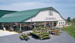 Hollabaugh Bros. Celebrates 70 Years with Annual Blueberry Festival