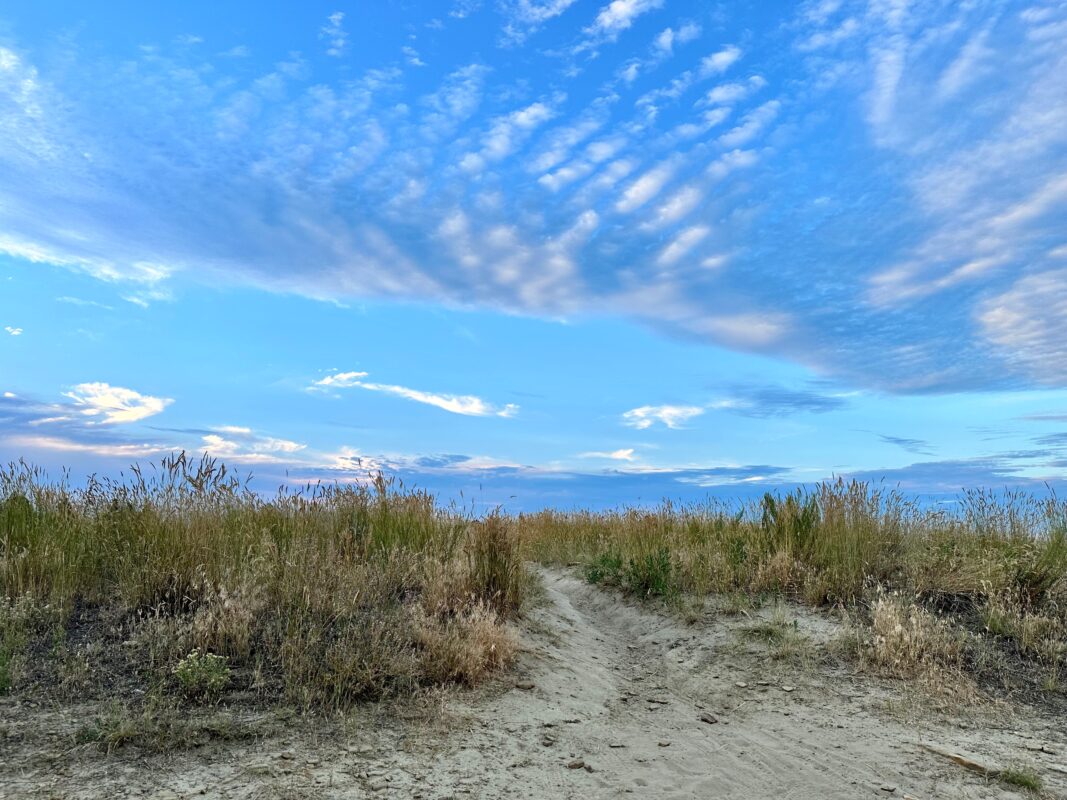 Summer 2023 Photo Contest 1 Path to Big Sky