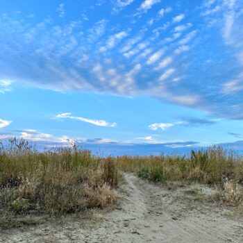 Path to Big Sky