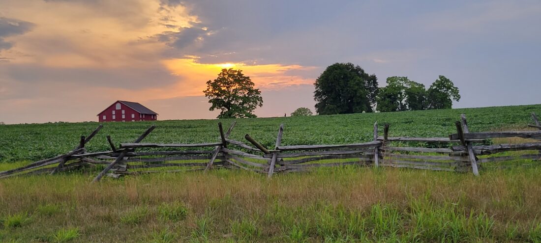 Summer 2023 Photo Contest 1 Resized 20230805 193347 4