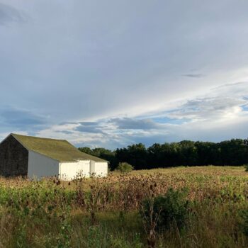 White Barn