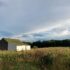 White Barn