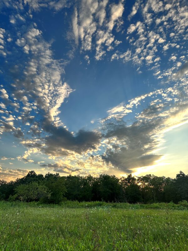 W Confederate sunset