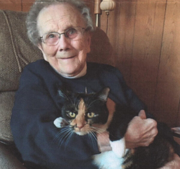 charlotte j fink