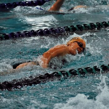 a group of people swimming in a pool