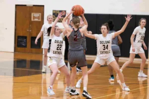 Audenried comes back, ends state tournament run for Delone girls