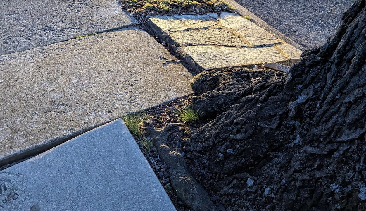 broken sidewalk 1