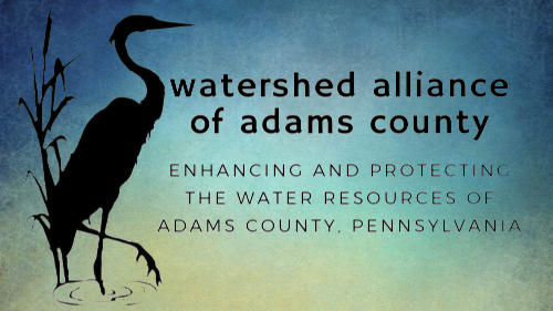 Free Native Trees for Adams County Residents