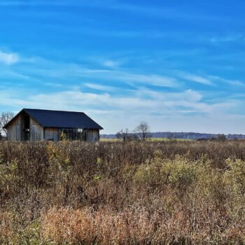 barn field 1