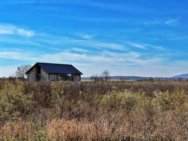 barn field 1