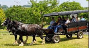 Silvershire Farm Horse Carriage and Wagon Rides