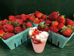 Strawberry Fest At Hollabaugh’s