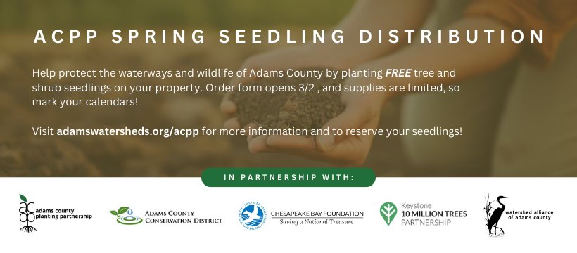 Another successful seedling distribution wraps up