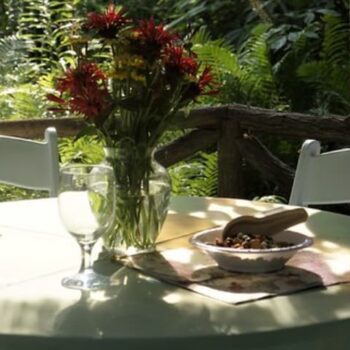 mattsons garden