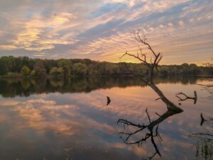 Fishing at Marburg Lake