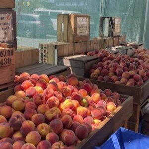 hollabaugh peaches