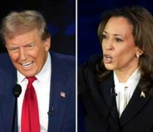 trump harris