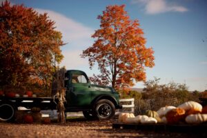 Seven reasons Pennsylvanians should be excited about fall