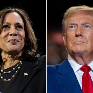 election day 1