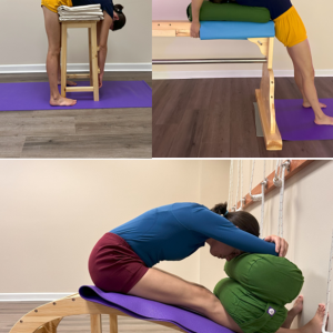 hidden wisdom yoga